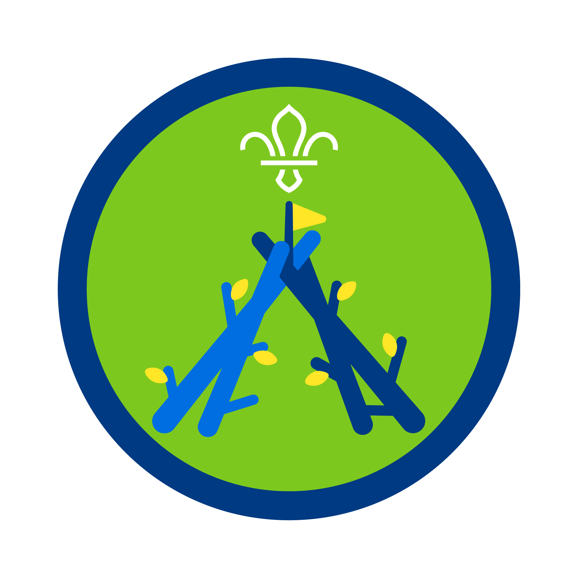 Brilliant Builder Activity Badge